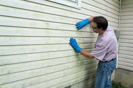 Best Siding Repair  in Maypearl, TX